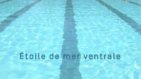 Étoile de mer ventrale by L'eau, mon amie