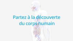 Corpus - une plateforme éducative sur le corps humain (teaser) by Corpus